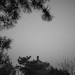 《全境封锁2》发布“Veiled Tactics”服装活动预告片